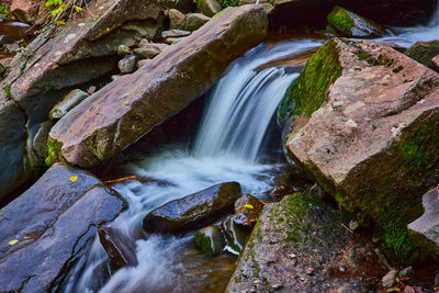 High angle view of waterfall in forest