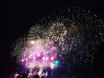 Low angle view of firework display at night