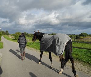 Rear view of woman walking with horse by field on road