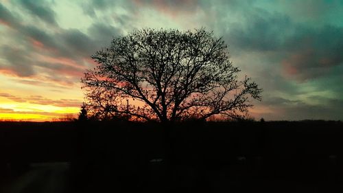 Silhouette of trees at sunset