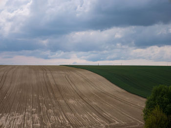 Scenic view of agricultural field against sky