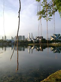 Reflection of trees in lake against sky in city