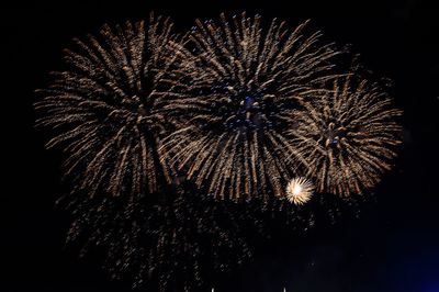 Low angle view of firework display at night