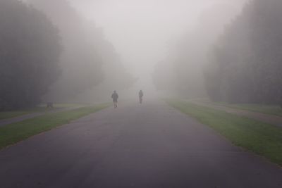 Road in foggy weather