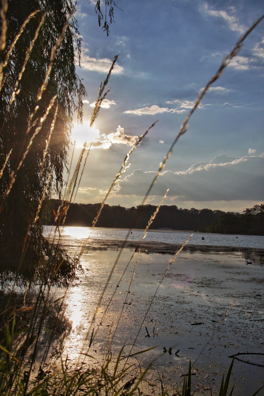 water, tranquil scene, scenics, sunlight, tranquility, sun, sunset, sunbeam, lake, idyllic, beauty in nature, nature, sky, cloud - sky, plant, non-urban scene, growth, calm, remote, day, outdoors, sea, lens flare, majestic, bright, no people, shore