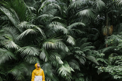 Young man standing near palm trees in rainforest