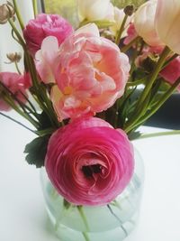 Close-up of pink flowers