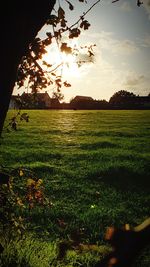 Scenic view of field against sky during sunset