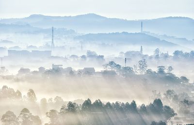 View of trees against sky in foggy weather