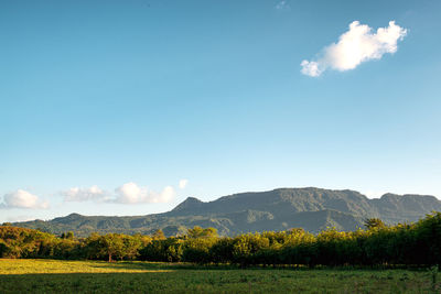 A view of a rural mountain range with clear blue skies.