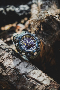 Close-up of clock on tree trunk