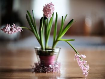 Close-up of flower pot on table