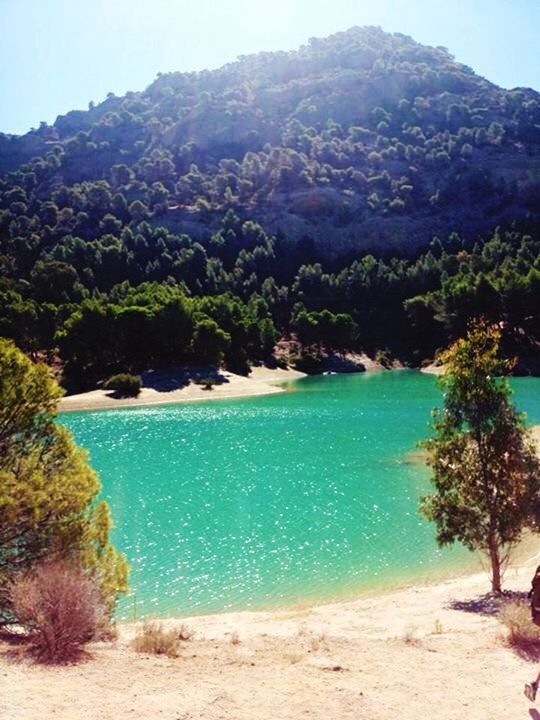 water, beach, mountain, tranquil scene, tree, tranquility, sea, scenics, beauty in nature, sand, shore, blue, nature, coastline, clear sky, idyllic, mountain range, sky, vacations, day