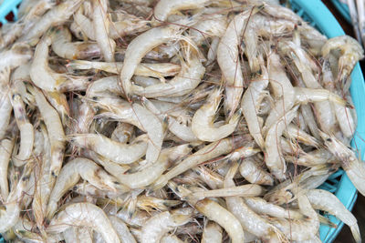 Close-up of fish for sale in market