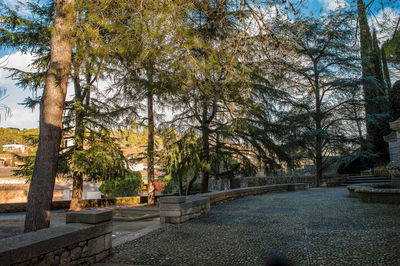 Footpath amidst trees in park during autumn