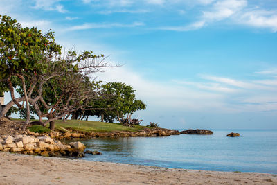 Early morning by a scenic jamaican beach.