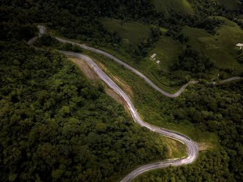 High angle view of road amidst trees in forest