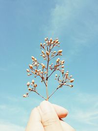Low angle view of hand against tree against sky
