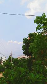 Low angle view of trees against sky