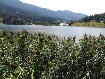 Scenic view of lake against sky