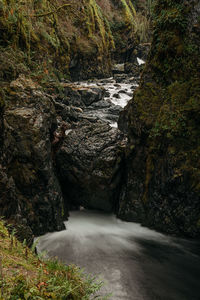 Stream flowing through rocks in forest