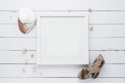 High angle view of white cat on wooden table