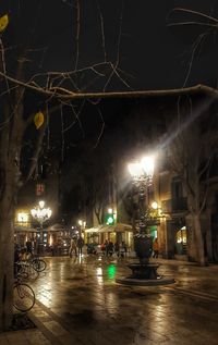 People on illuminated city at night