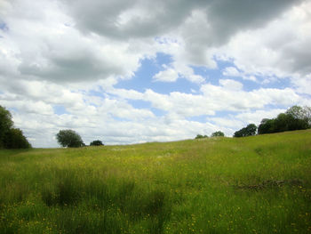 Scenic view of grassy field against cloudy sky