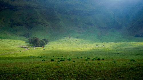 Scenic view of landscape