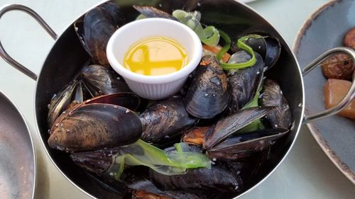 High angle view of shells in plate