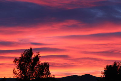 Silhouette trees against sky during sunset