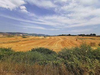Scenic view of field against sky