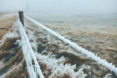 Close-up of frozen fencing on field
