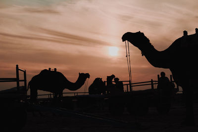 Silhouette of people standing on land against sunset sky