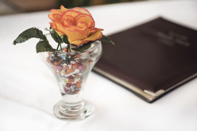 Close-up of rose in vase on table