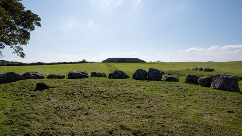 Hay bales on field against sky