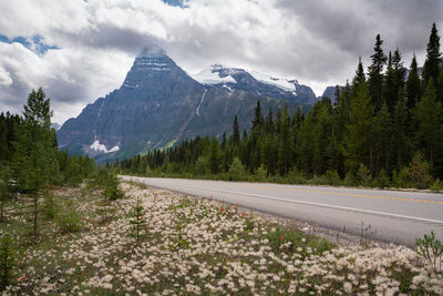 Road amidst trees and mountains against sky