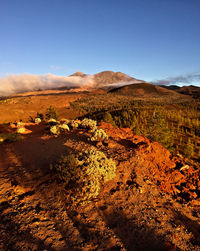 View of a desert