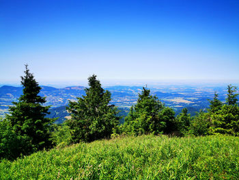 Scenic view of landscape against clear blue sky