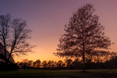 Silhouette trees on field against sky during sunset