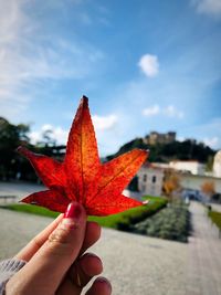 Close-up of hand holding maple leaf during autumn