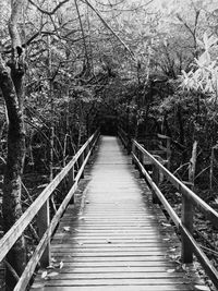 Wooden footbridge in forest