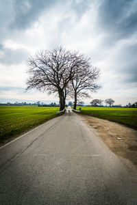 Bare tree by road against sky