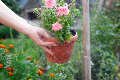 Cropped hand watering plants