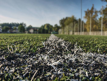 White stripe on artificial green soccer field. yellow leaves fallen on green football soccer ground