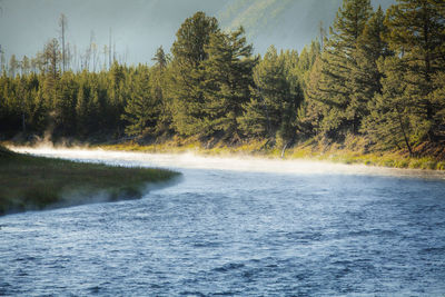 Yellowstone national park madison river morning steam