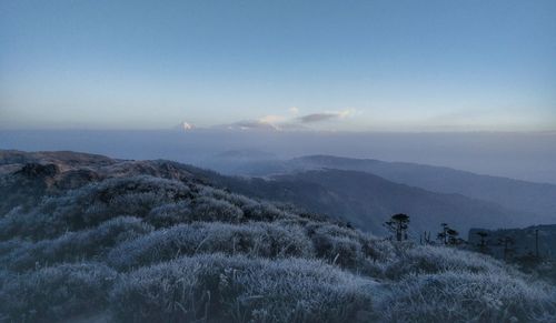 Scenic view of landscape against clear sky