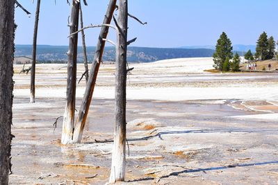Scenic view of beach against clear sky