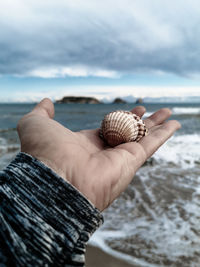 Close-up of hand holding shell on beach