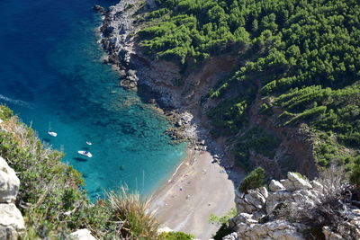 High angle view of trees by sea